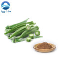 Pure Lady Finger Powder Okra Fruit Extract Powder